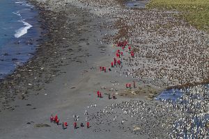 Gold Harbour, South Georgia Island 683_1.jpg